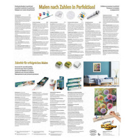 MNZ Blütenfeuerwerk