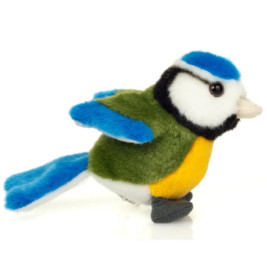 Blaumeise, 12 cm