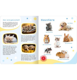 Mein großes Geräuschebuch – Tierbabys