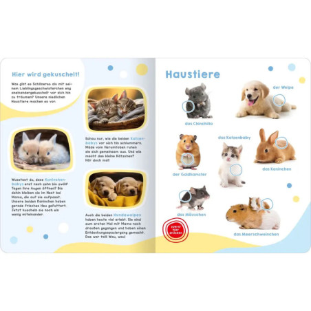 Mein großes Geräuschebuch – Tierbabys