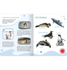 Mein großes Geräuschebuch – Tierbabys