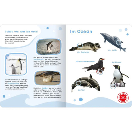 Mein großes Geräuschebuch – Tierbabys