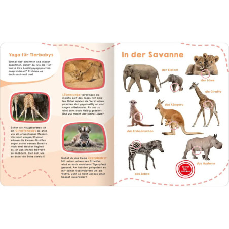 Mein großes Geräuschebuch – Tierbabys