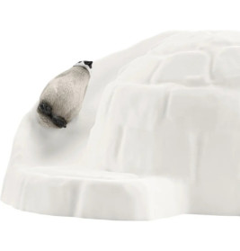 Antarktis Expedition