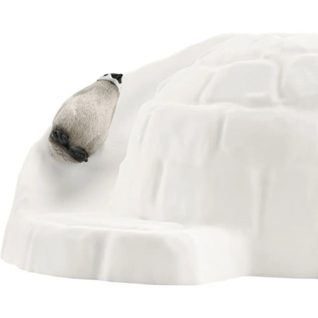 Antarktis Expedition Antarktis Expedition