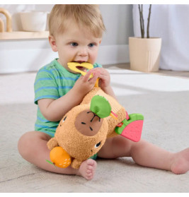 FisherPrice Kuschel-Cabybara
