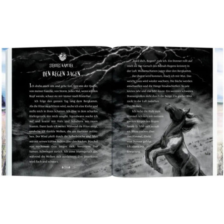 Lauf wie der Wind, Sky!