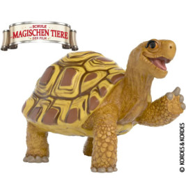 Henrietta die Schildkröte