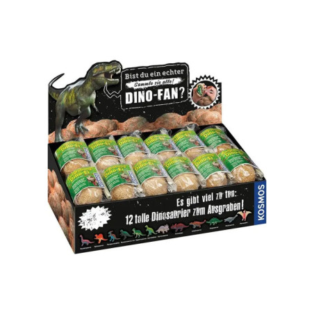 Dino-Eier (24 Ex. Im Display)