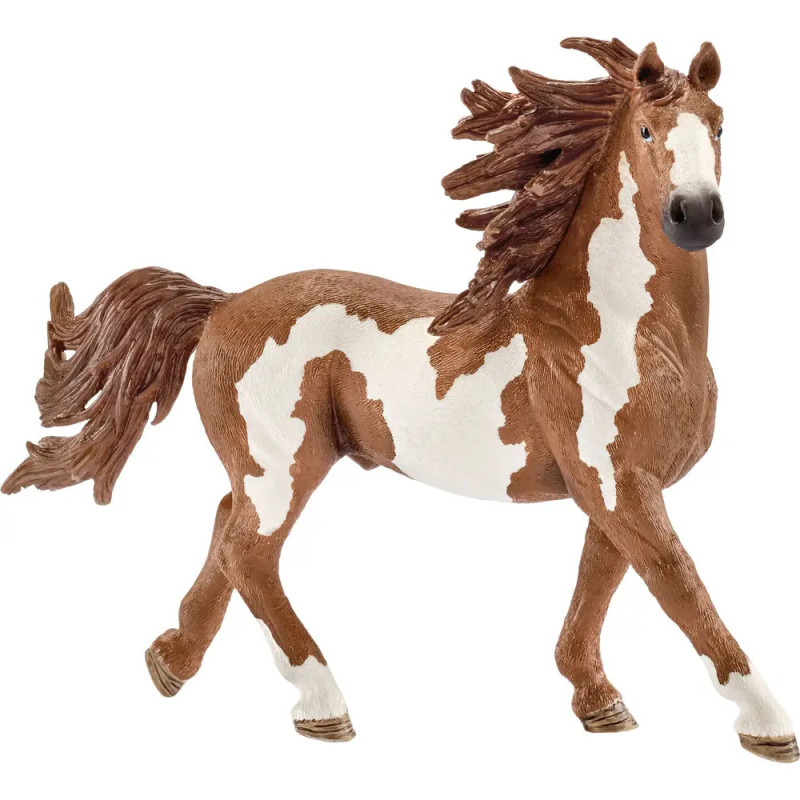 schleich® Farm World Pferde - 13794 Pinto Hengst, ab 3 Jahre schleich® Farm World Pferde - 13794 Pinto Hengst, ab 3 Jahre