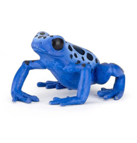 Blauer Pfeilgiftfrosch mit schwarzen Flecken vor weißem Hintergrund.