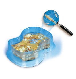 Clementoni Galileo - Original Salzkrebse