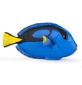 Papo 56024 Doktorfisch