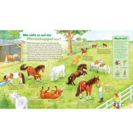 WAS IST WAS Junior Band 5. Pferde und Ponys