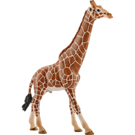schleich® Wild Life - 14749 Giraffenbulle, ab 3 Jahre schleich® Wild Life - 14749 Giraffenbulle, ab 3 Jahre