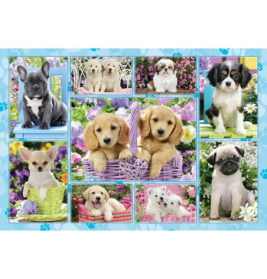 Schmidt Spiele Puzzle Welpen, 200 Teile