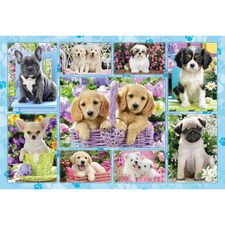 Schmidt Spiele Puzzle Welpen, 200 Teile