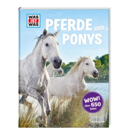 Buchcover: Zwei weiße Pferde laufen durchs Wasser. Titel auf Deutsch: Pferde und Ponys.