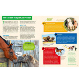 WAS IST WAS Pferde und Ponys