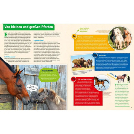 WAS IST WAS Pferde und Ponys