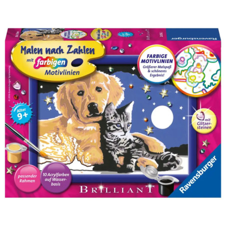 Ravensburger Malen-nach-Zahlen-Set mit goldenem Welpen und grauer Katze unter einem Sternenhimmel. Ravensburger Malen-nach-Zahlen-Set mit goldenem Welpen und grauer Katze unter einem Sternenhimmel.
