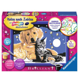 Ravenburger 28016 Malen nach Zahlen Funkelnder Sternenhimmel Malen nach Zahlen Sonderserie E