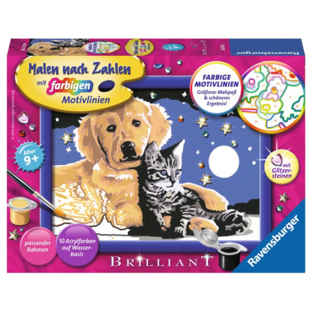 Ravenburger 28016 Malen nach Zahlen Funkelnder Sternenhimmel Malen nach Zahlen Sonderserie E