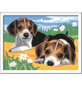 Ravenburger 28329 Malen nach Zahlen Jack Russel Welpen Malen nach Zahlen Serie D
