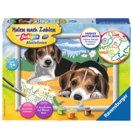 Ravenburger 28329 Malen nach Zahlen Jack Russel Welpen Malen nach Zahlen Serie D