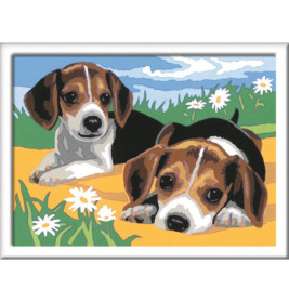 Ravenburger 28329 Malen nach Zahlen Jack Russel Welpen Malen nach Zahlen Serie D