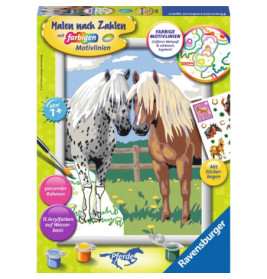 Malset mit Motiv zweier Pferde auf einer Wiese, incl. Farben und Beispielbildern des fertigen Werks.