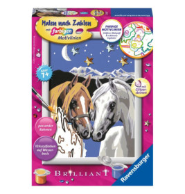 Ravenburger 28024 Malen nach Zahlen Pferdeliebe D Malen nach Zahlen Sonderserie E