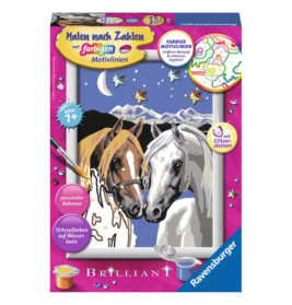 Ravenburger 28024 Malen nach Zahlen Pferdeliebe D Malen nach Zahlen Sonderserie E