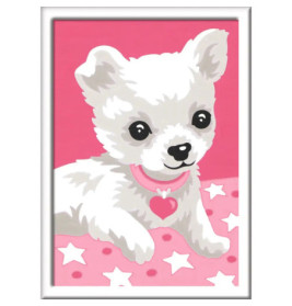 Ravenburger 29684 Malen nach Zahlen Chihuahua Malen nach Zahlen Serie F