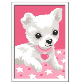 Ravenburger 29684 Malen nach Zahlen Chihuahua Malen nach Zahlen Serie F