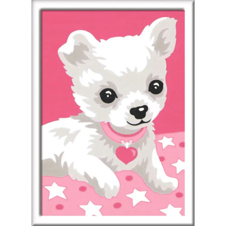 Ravenburger 29684 Malen nach Zahlen Chihuahua Malen nach Zahlen Serie F