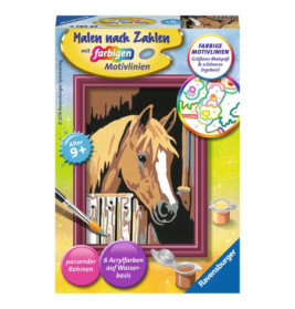 Ravenburger 29685 Malen nach Zahlen Pferd im Stall Malen nach Zahlen Serie F