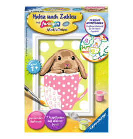 Ravenburger 29690 Malen nach Zahlen Süßes Schlappohr Malen nach Zahlen Serie F
