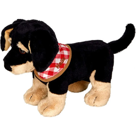 Plüschhund in Schwarz und Braun mit rot-weiß kariertem Halstuch.