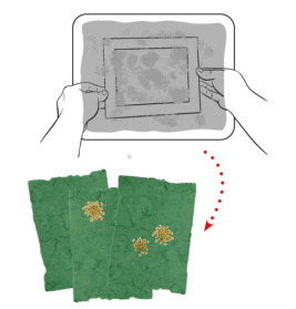 Papierschöpfen - Nature Zoom