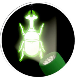 Leuchtender Schlüsselanhänger - Nature Zoom