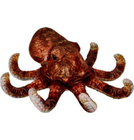 Realistischer braun-roter Oktopus mit eingerollten Tentakeln auf weißem Hintergrund.