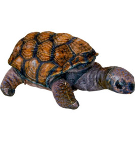 Ein Plüschtier in Form einer Schildkröte mit braunem Panzer sowie grau strukturierten Beinen und Kopf.