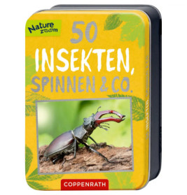 Gelbe Blechdose mit Aufschrift 50 Insekten, Spinnen & Co. und einem Hirschkäfer auf der Vorderseite.