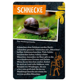 50 Insekten, Spinnen & Co. - Nature Zoom