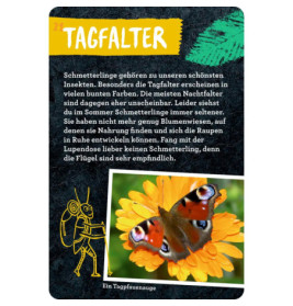 50 Insekten, Spinnen & Co. - Nature Zoom