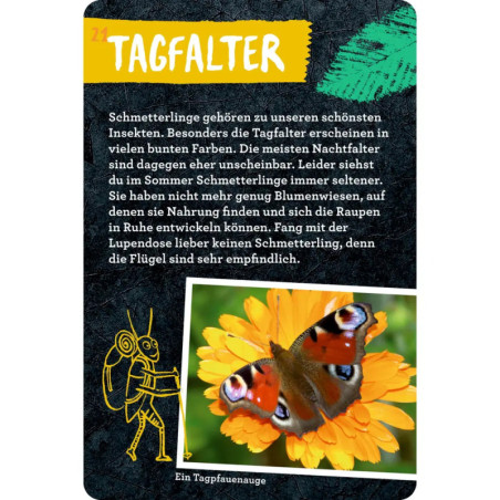 50 Insekten, Spinnen & Co. - Nature Zoom