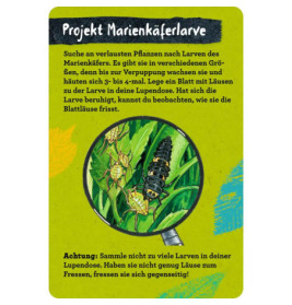 50 Insekten, Spinnen & Co. - Nature Zoom