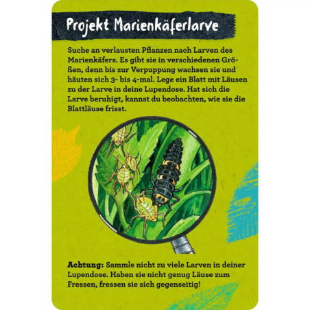 50 Insekten, Spinnen & Co. - Nature Zoom