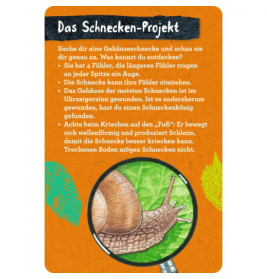 50 Insekten, Spinnen & Co. - Nature Zoom